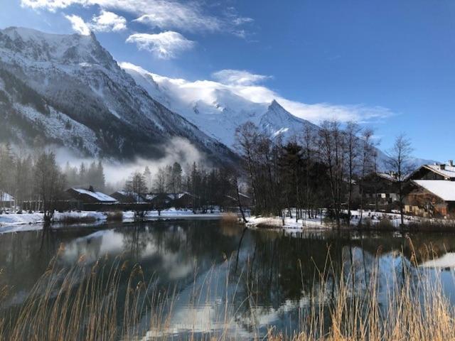 Studio Au Calme Avec Jardin Et Vue Mont-Blanc 샤모니 외부 사진